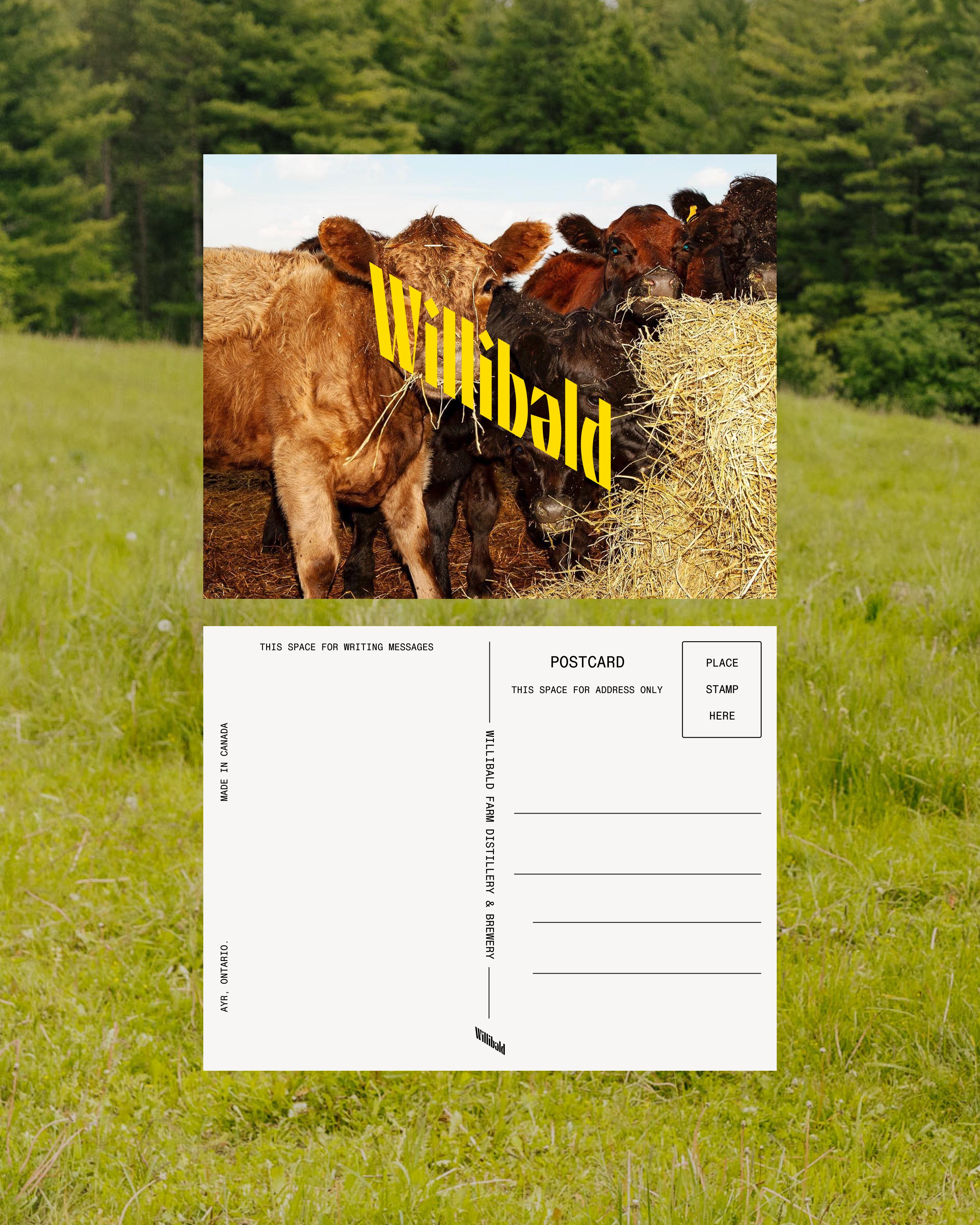 Willibald Postcard - Willibald Farm