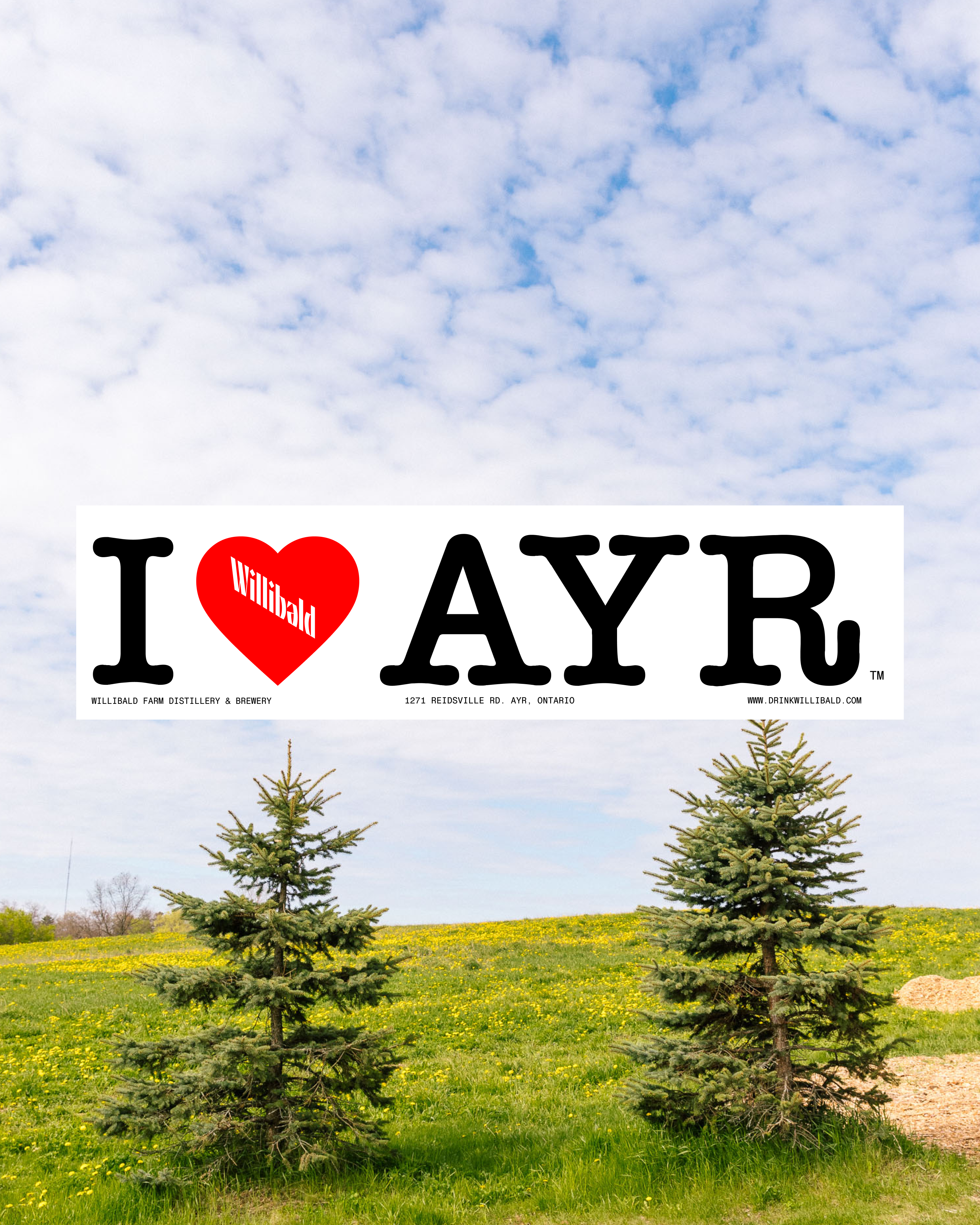 I <3 Ayr Bumper Sticker - Willibald Farm