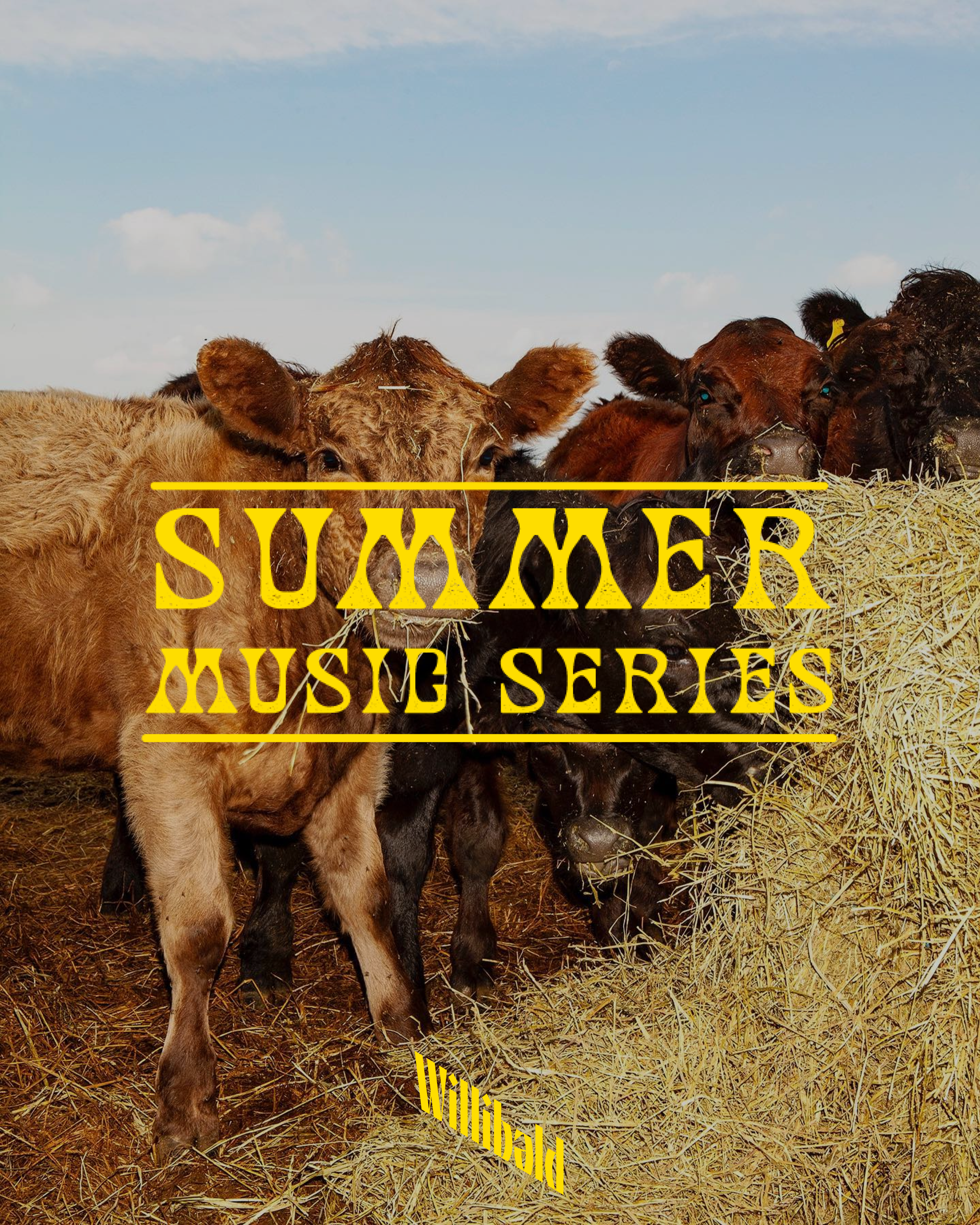 Summer Music Nights 2026