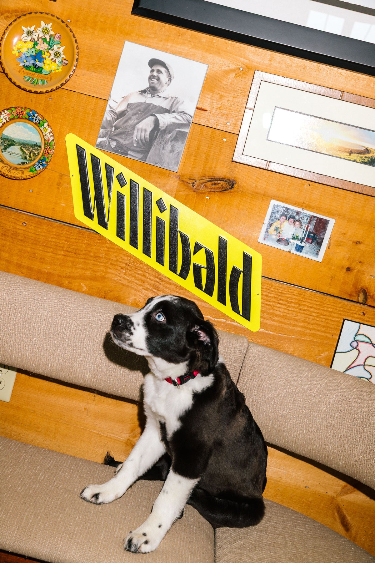 Willibald Tin Tacker