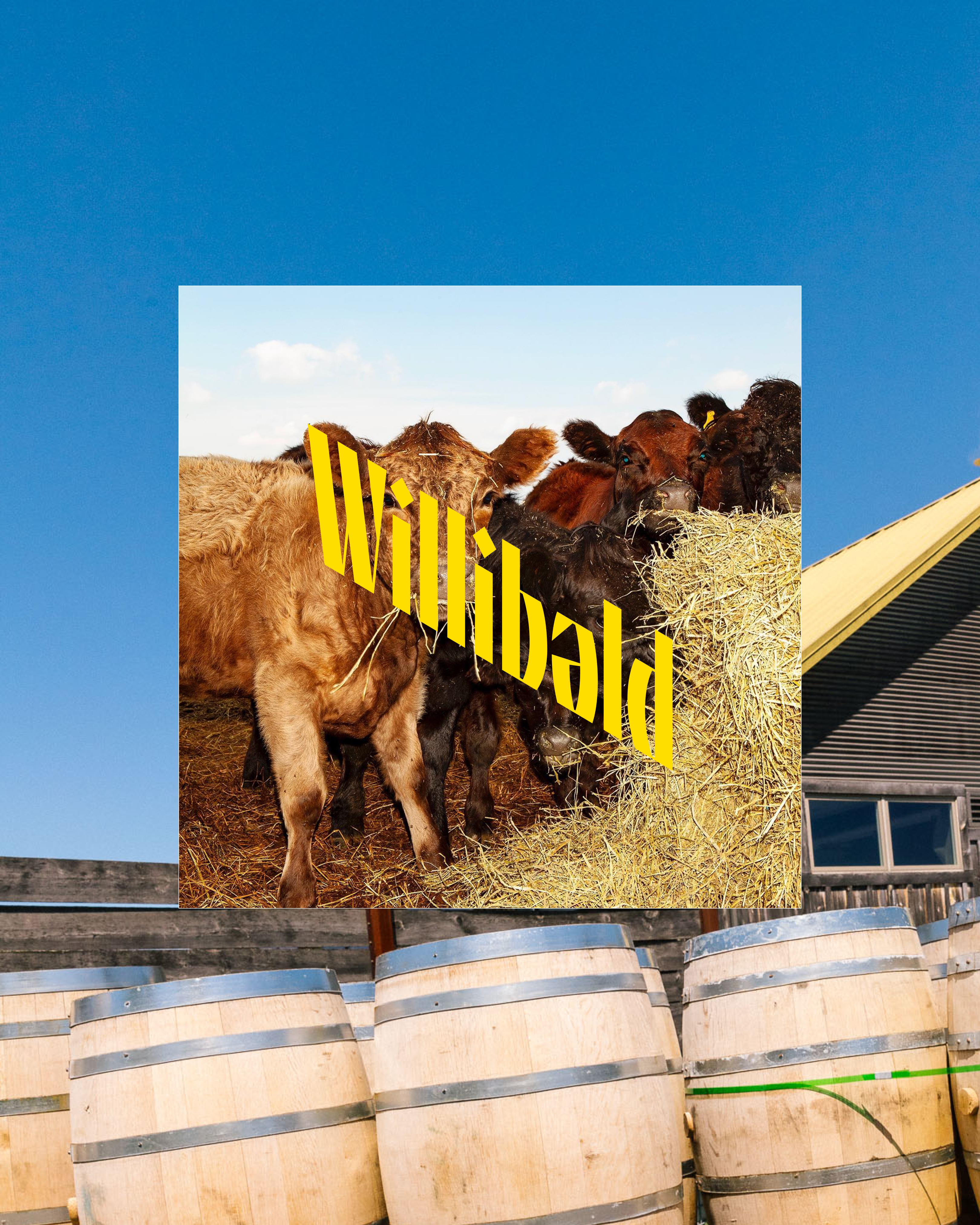 Willibald Cow Sticker