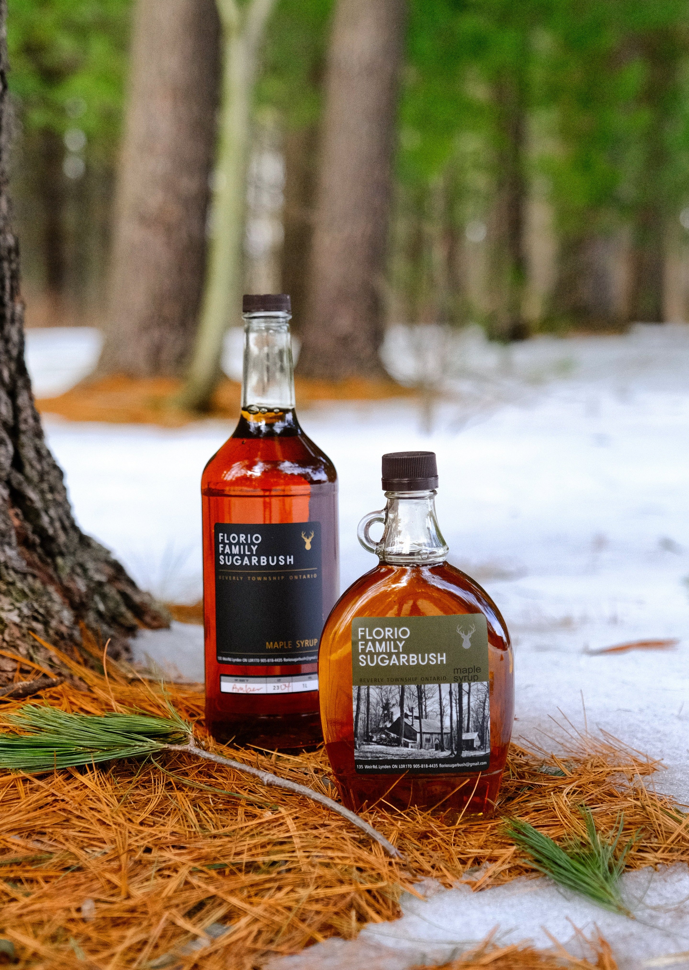 Florio Family Sugarbush Maple Syrup - Willibald Farm