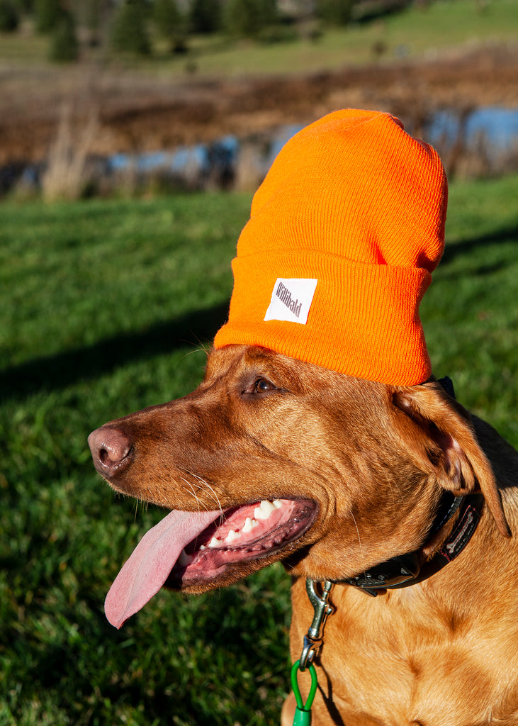 Willibald Thinsulate Beanie - Willibald